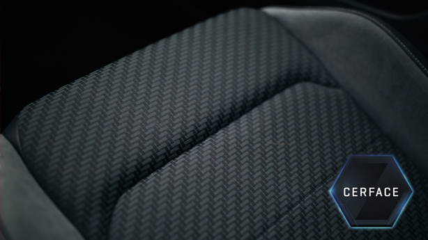 CERFACE Interior Protection